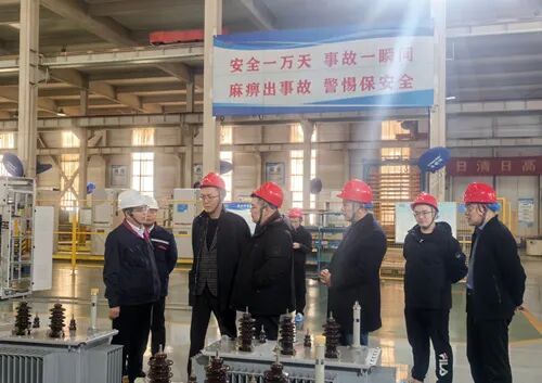 泰隆电力接连迎来国外客商